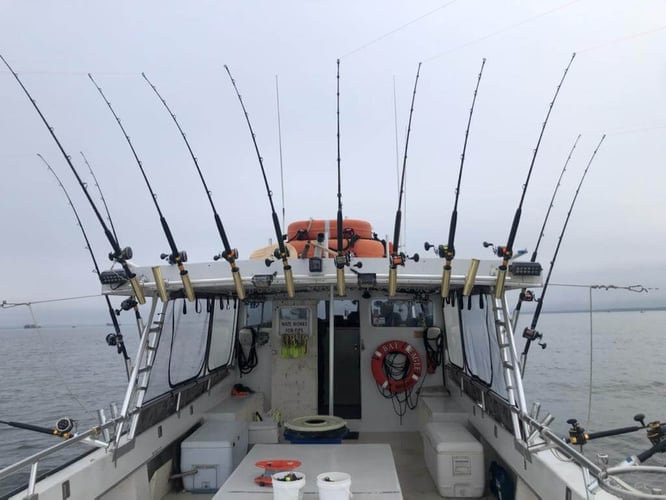 Annapolis Fishing Charters