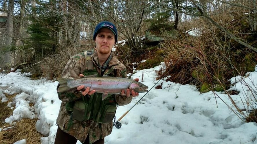 Stream Fishing Trip In Washburn