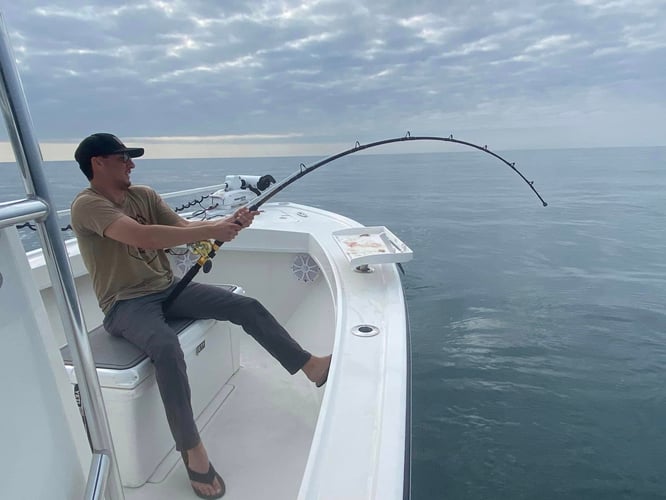 Afternoon Shark Fishing In Jacksonville