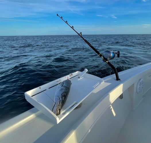 Afternoon Shark Fishing In Jacksonville