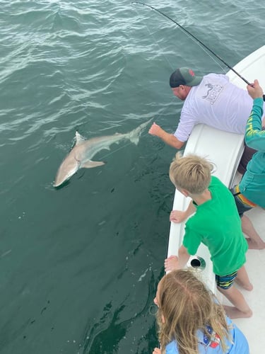 Afternoon Shark Fishing In Jacksonville