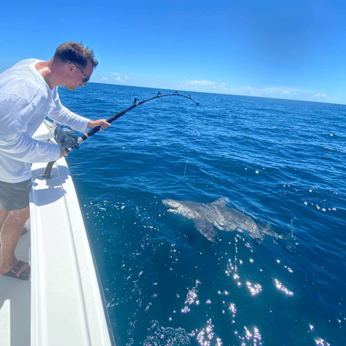 Afternoon Shark Fishing In Jacksonville