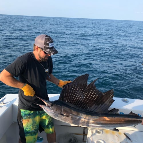 Gulf Stream 10-Hour In Atlantic Beach