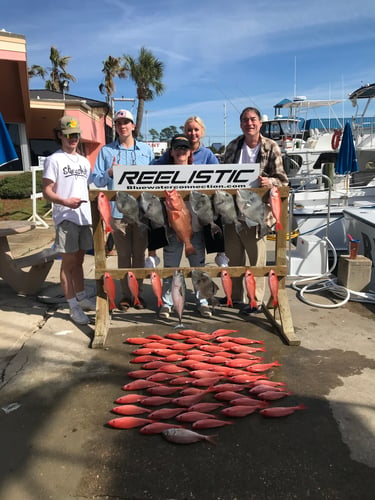 Red Snapper Action - 60’ Bonner In Panama City