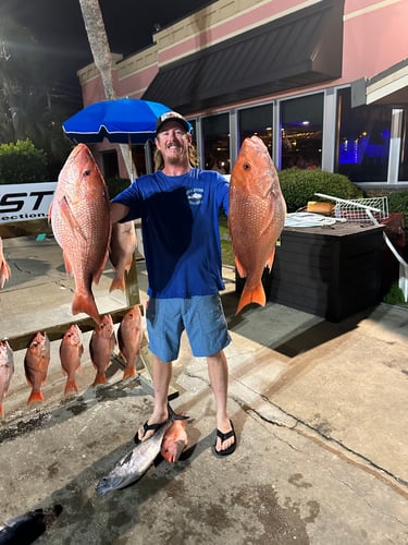 Red Snapper Action - 60’ Bonner In Panama City