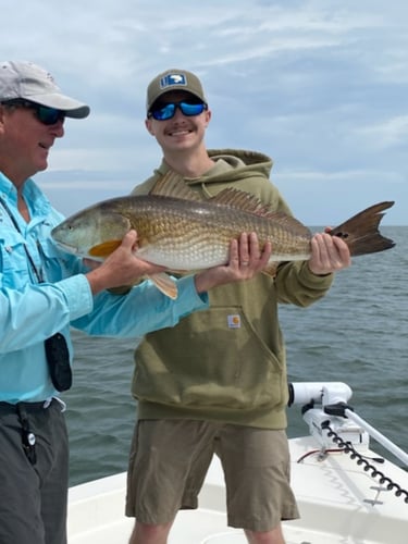 Half Day Jetty Trip In Jacksonville