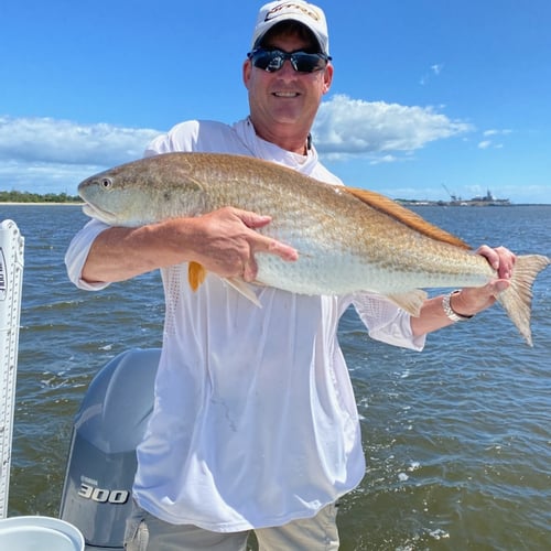 Half Day Bull Reds Trip In Jacksonville