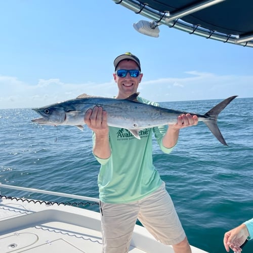 Killer Kingfishing Trip In Jacksonville