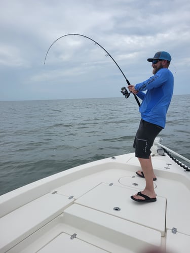 Heavy Weights: Tarpon And Shark In Jacksonville