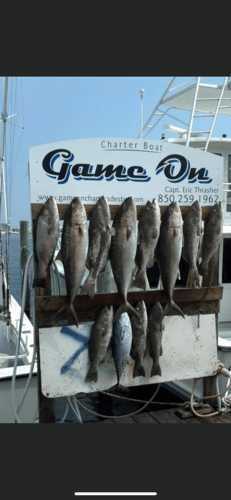 Luxury Quick Trip In Destin