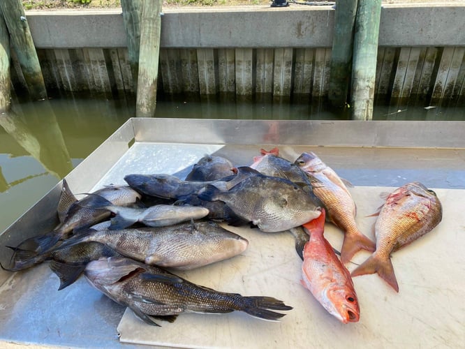 3/4 Day Nearshore Combo in Charleston