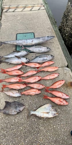 3/4 Day Nearshore Combo in Charleston