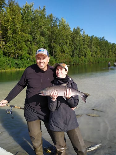 Wild Salmon And Trout On The Fly In Talkeetna