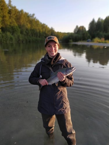 Wild Salmon And Trout On The Fly In Talkeetna