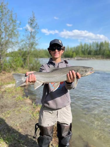 Wild Salmon And Trout On The Fly In Talkeetna