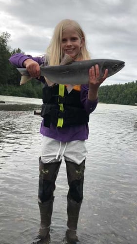 Wild Salmon And Trout On The Fly In Talkeetna
