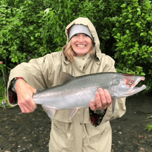Wild Salmon And Trout On The Fly In Talkeetna