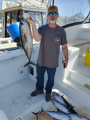 Fishing Trips In Niceville