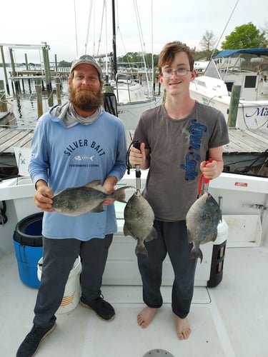 Fishing Trips In Niceville