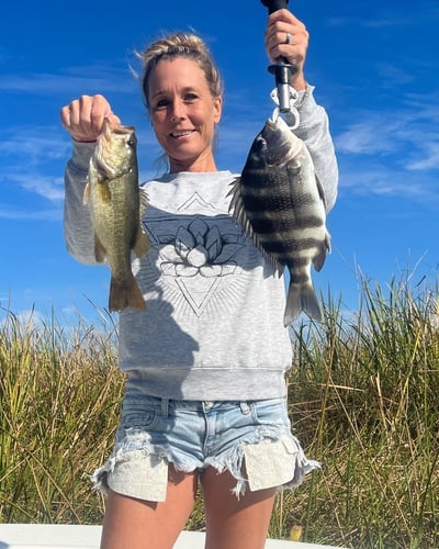 Inshore Fishing In Apalachicola In Eastpoint