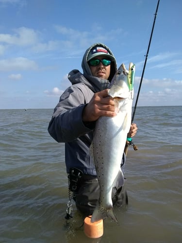 Rockport Tx Wade Fishing In Rockport