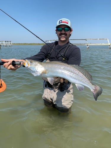 Rockport Tx Wade Fishing In Rockport