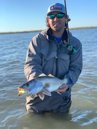 Rockport Tx Wade Fishing In Rockport