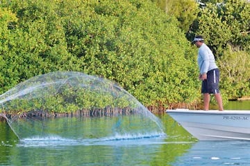 Light Tackle  Puerto Rico In San Juan