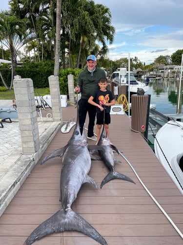 Miami Beach Swordfish Run In Miami Beach