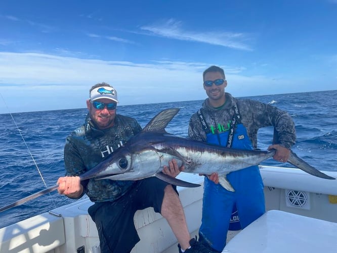 Miami Beach Swordfish Run In Miami Beach