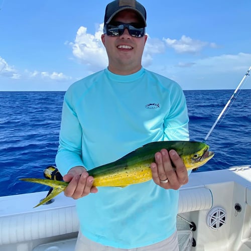 Key Largo Offshore Fishing In Key Largo