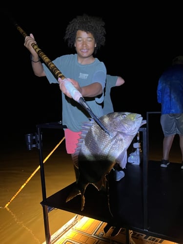 Flounder Gigging In Apalachee Bay In Eastpoint