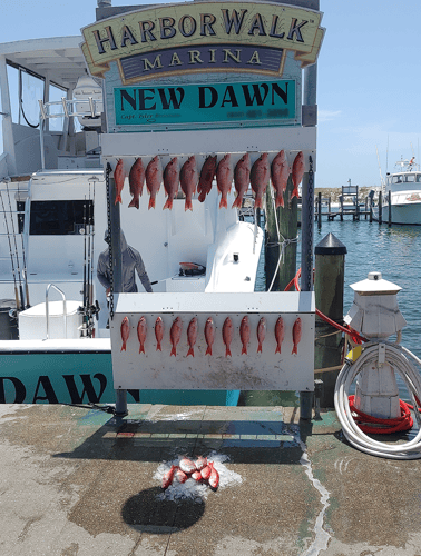 Family Reel Time: 3/4 Day Fishing In Destin