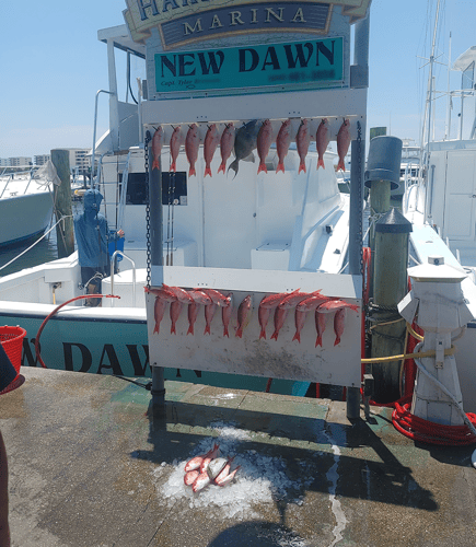 Family Reel Time: 3/4 Day Fishing In Destin