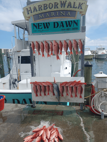 Family Reel Time: 3/4 Day Fishing In Destin