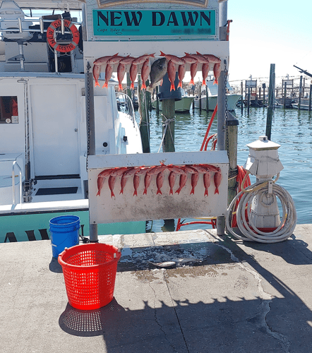 Family Reel Time: 3/4 Day Fishing In Destin