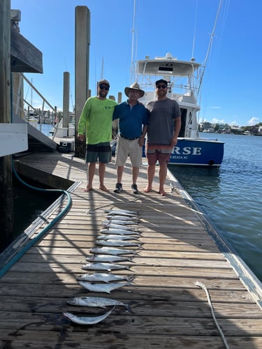 Half Day Nearshore Trip In Wrightsville Beach