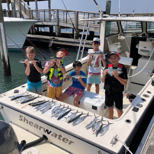 Exciting Nearshore Half Day In Wrightsville Beach