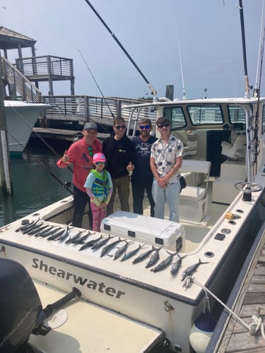 Exciting Nearshore Half Day In Wrightsville Beach