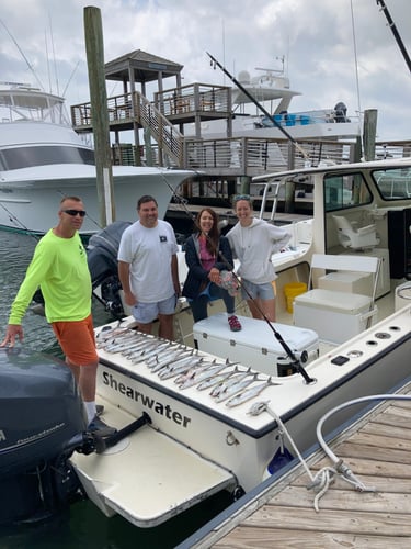 Exciting Nearshore Half Day In Wrightsville Beach