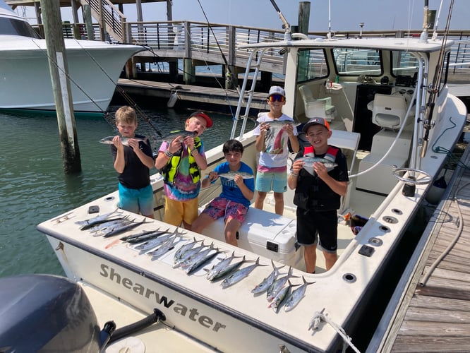 Exciting Nearshore Half Day In Wrightsville Beach