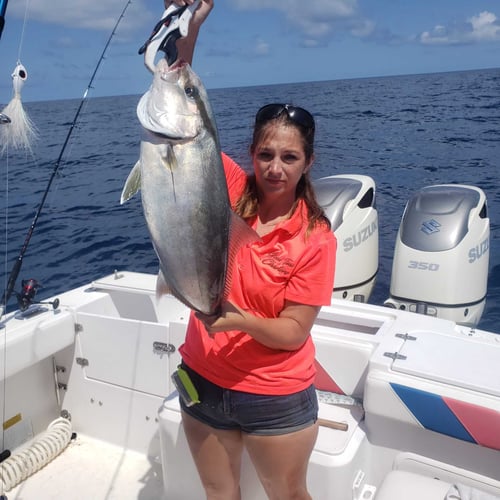 Weekend Red Snapper Run In Steinhatchee