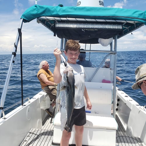 Weekday Red Snapper Run In Steinhatchee