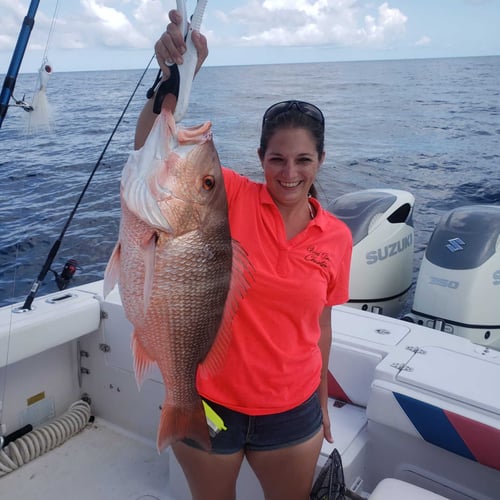 Weekend Red Snapper Run In Steinhatchee