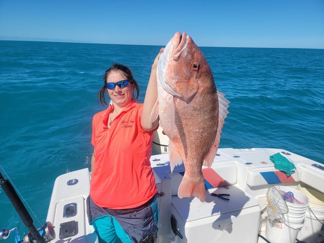 Weekday Red Snapper Run In Steinhatchee