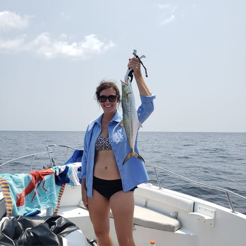 Weekday Red Snapper Run In Steinhatchee