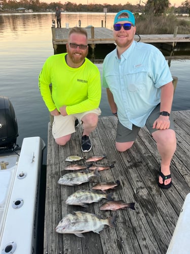Quick Bay/inshore Fishing In Pensacola