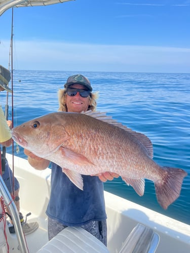 3/4 Day Offshore/bay In Pensacola