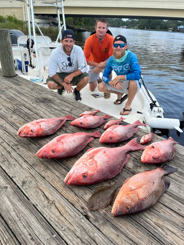 3/4 Day Offshore/bay In Pensacola