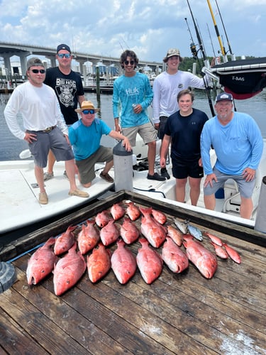 3/4 Day Offshore/bay In Pensacola